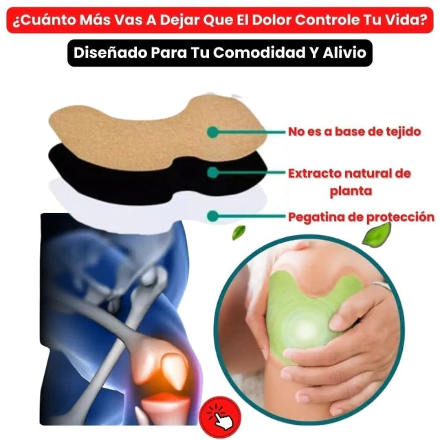 FLEX PATCH PREMIUM (QUITA DOLOR)