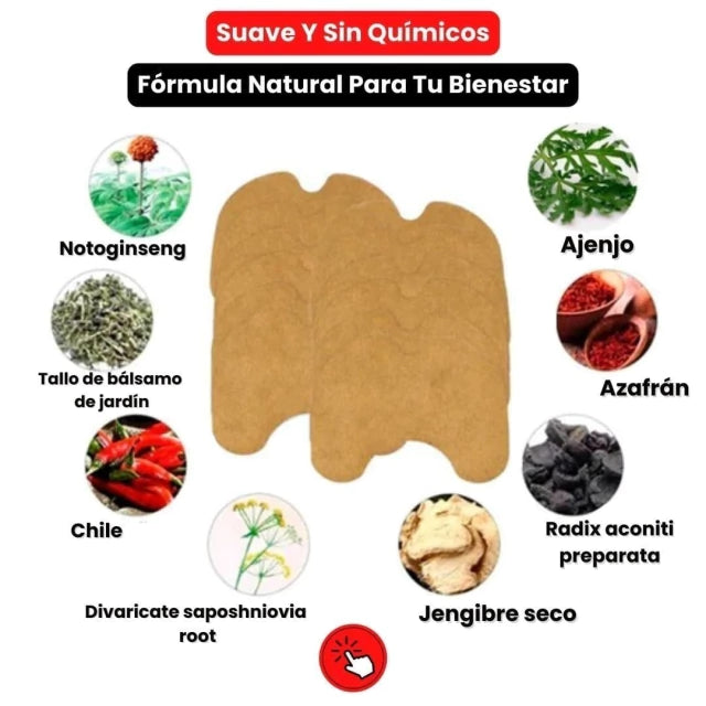 FLEX PATCH PREMIUM (QUITA DOLOR)